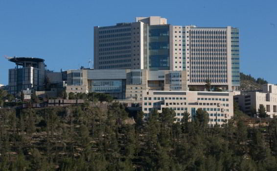 больница адасса